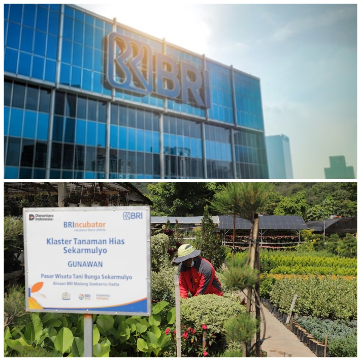 BRI Dorong Pertumbuhan UMKM: 41 Ribu Klaster Usaha Diberdayakan lewat Pembiayaan dan Edukasi Keuangan