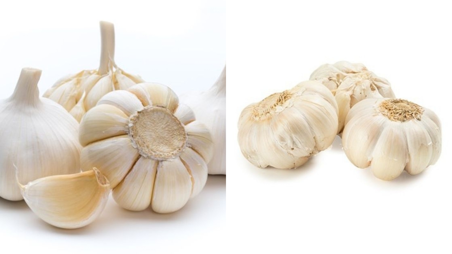 Wajib Tahu Inilah Manfaat Bawang Bagi Kesehatan Tubuh Kasiatnya Yang Luar Biasa! 