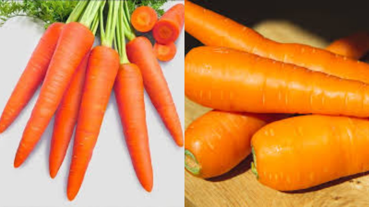  Inilah 9 Kandungan Nutrisi dan Manfaat Wortel Untuk Kesehatan Yang Harus Kamu Tahu!