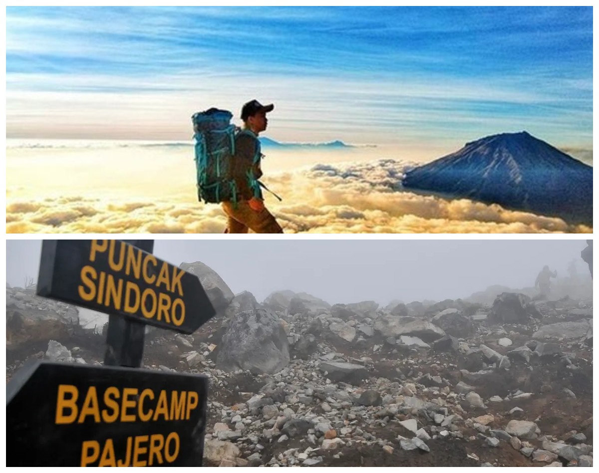 Jin Baik dan Mitos Edelweis di Gunung Sindoro: Mengungkap Kebenaran di Balik Kisah Mistis