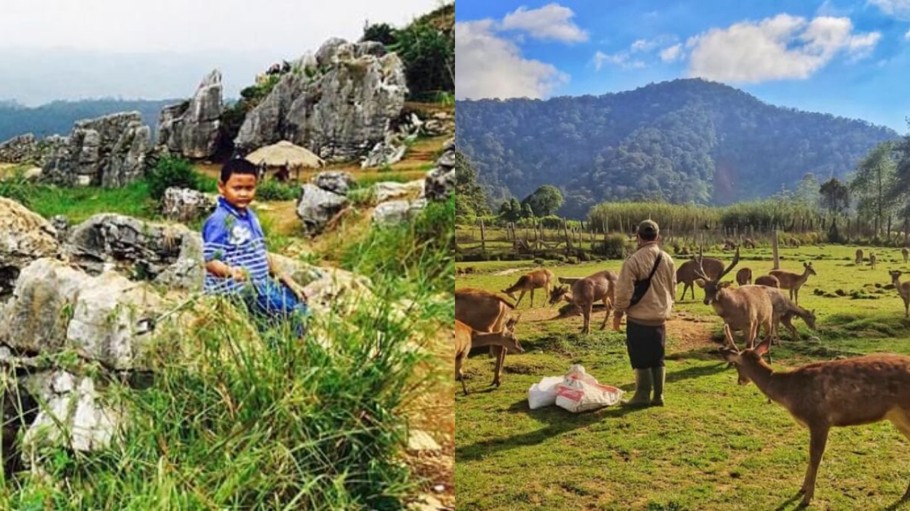 Apa Saja Wisata Alam di Bandung yang Bisa Dinikmati Saat Liburan Natal? Berikut 8 Pilihannya!