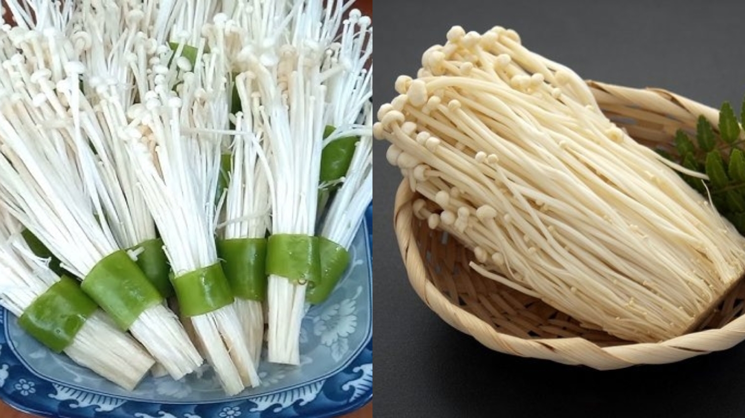 Wajib Tahu Inilah Manfaat Jamur Enoki Untuk Kesehatan Yang Luar Biasa!