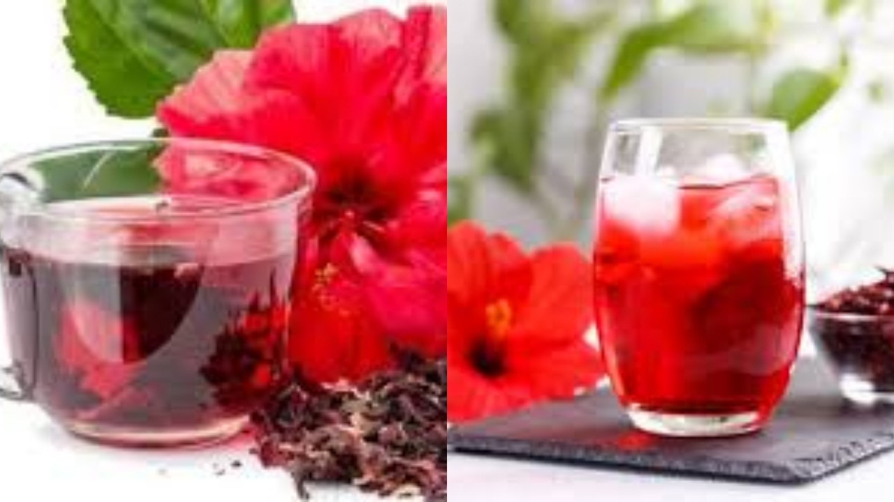  Yuk Ketahui! 7 Manfaat Teh Hibiscus Untuk Kesehatan Tubuh Yang Luar Biasa