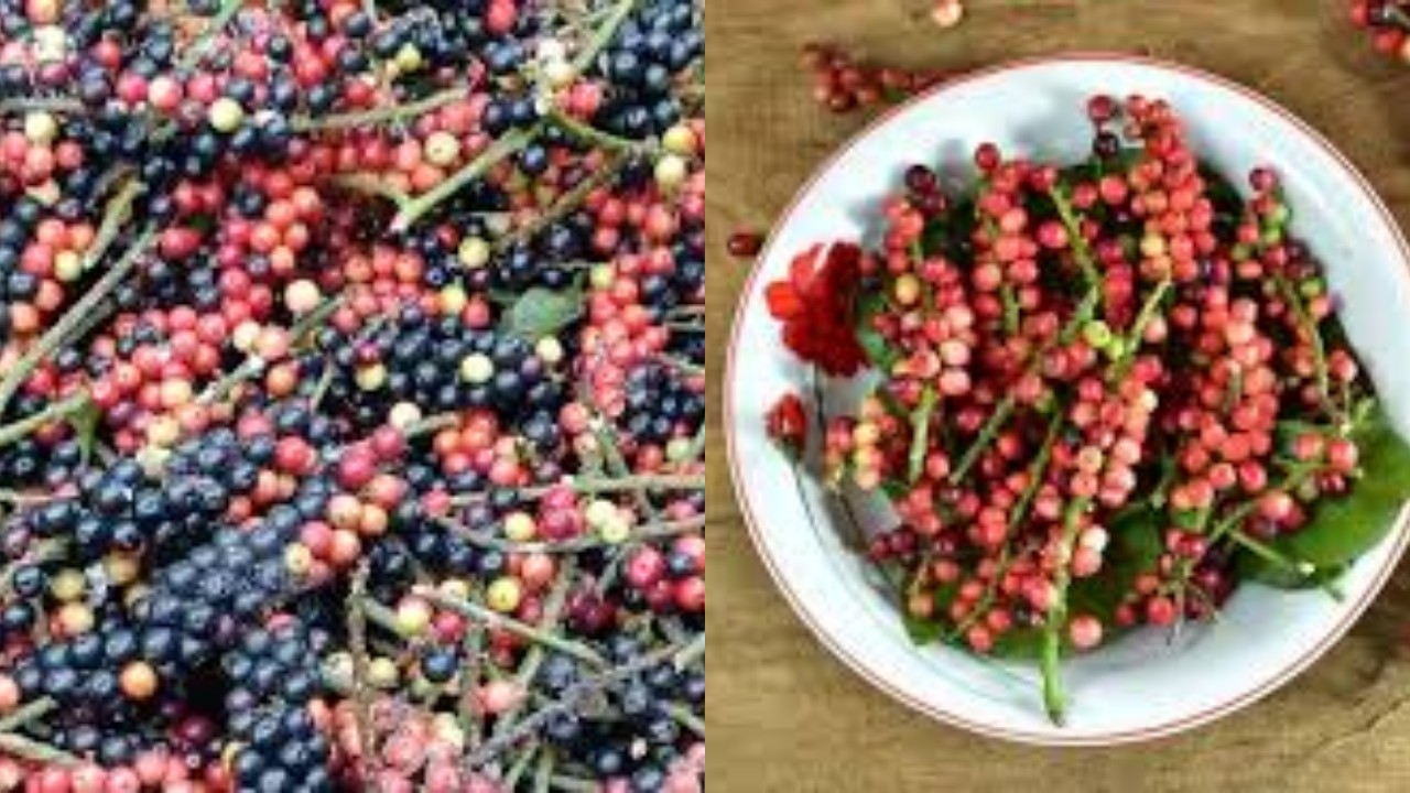 Manfaat Buah Buni yang Perlu Anda Ketahui untuk Kesehatan Optimal!