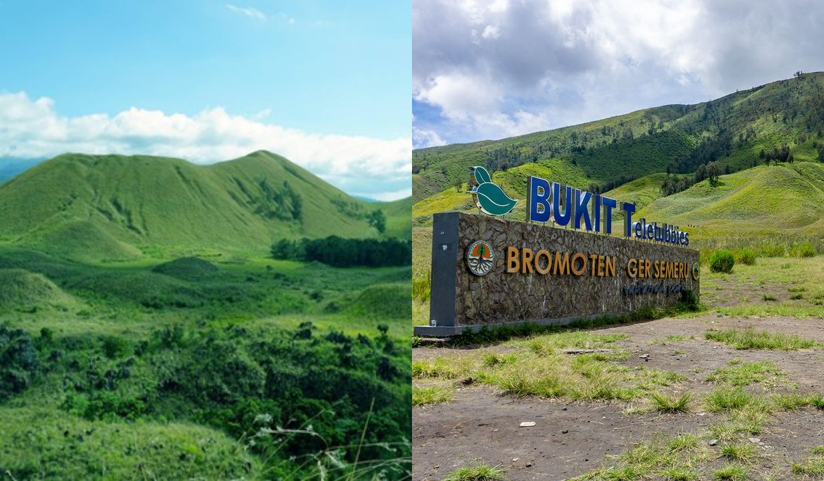 Sejarah yang Tak Terlupakan! Fakta Menarik di Balik Bukit Teletubbies yang Jarang Diketahui