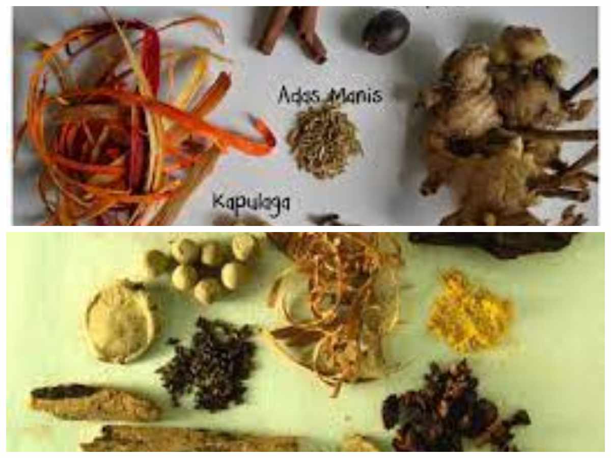 Rahasia Obat Tradisional Melayu: Apakah Ampuh Mengatasi Penyakit Serius?