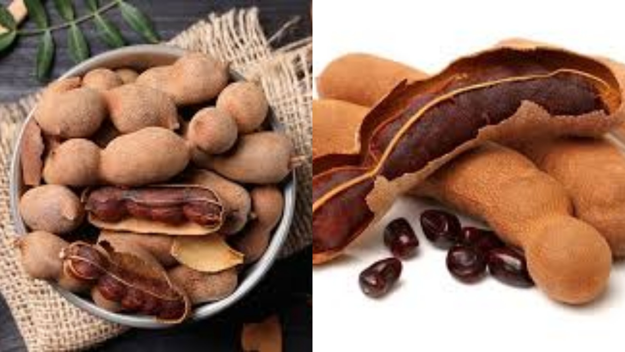 Kamu Harus Tahu! Inilah Manfaat Asam Jawa Untuk Kesehatan Tubuh Yang Luar Biasa