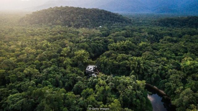 Wow! Masa Iya Istana Didalam Hutan? Ternyata Ini Fakta Nya!