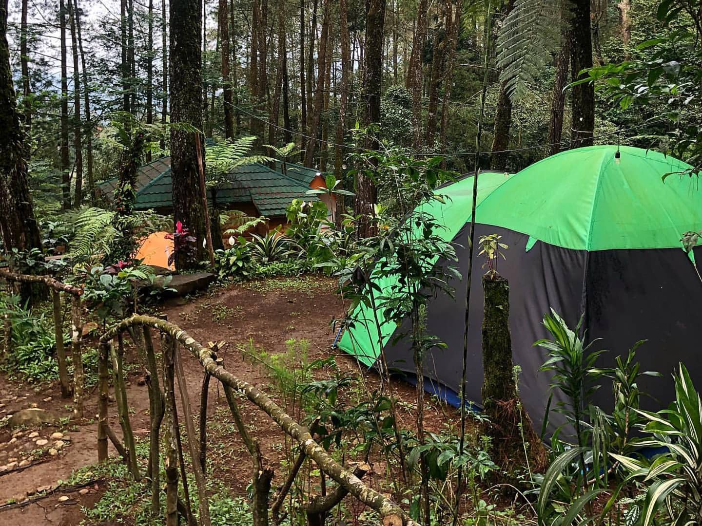 Berkemah Disini Penat Capek Mu Auto Lenyap, Nikmati Sensasi Wisata Alam di Bogor, Buruan Cek Lokasinya