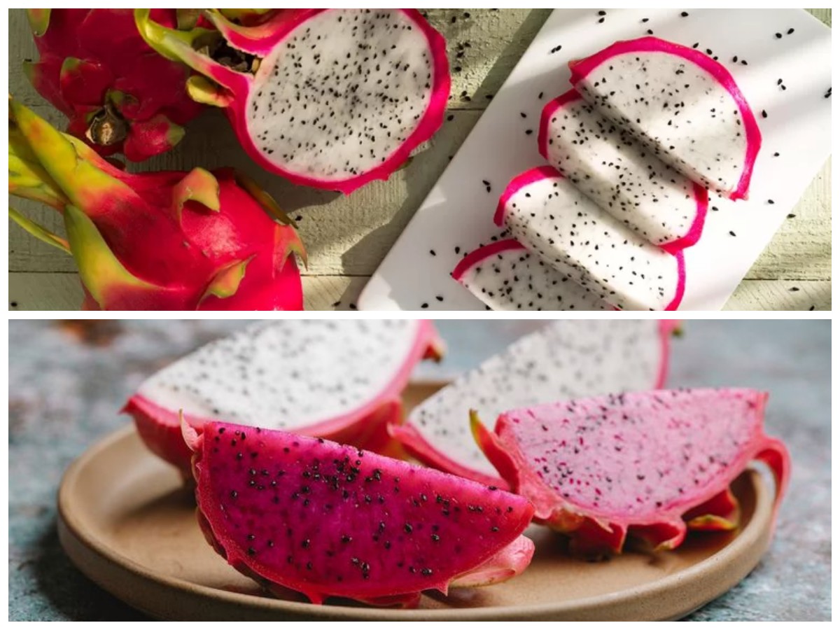 Rahasia Awet Muda: Khasiat Buah Naga Putih yang Baik untuk Kesehatan Kulit