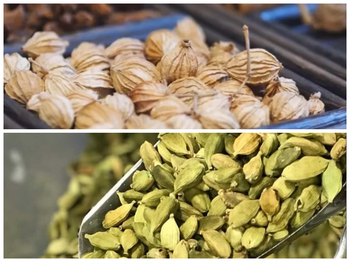 Manfaat Kapulaga untuk Kesehatan: Rempah Kecil dengan Khasiat Besar!