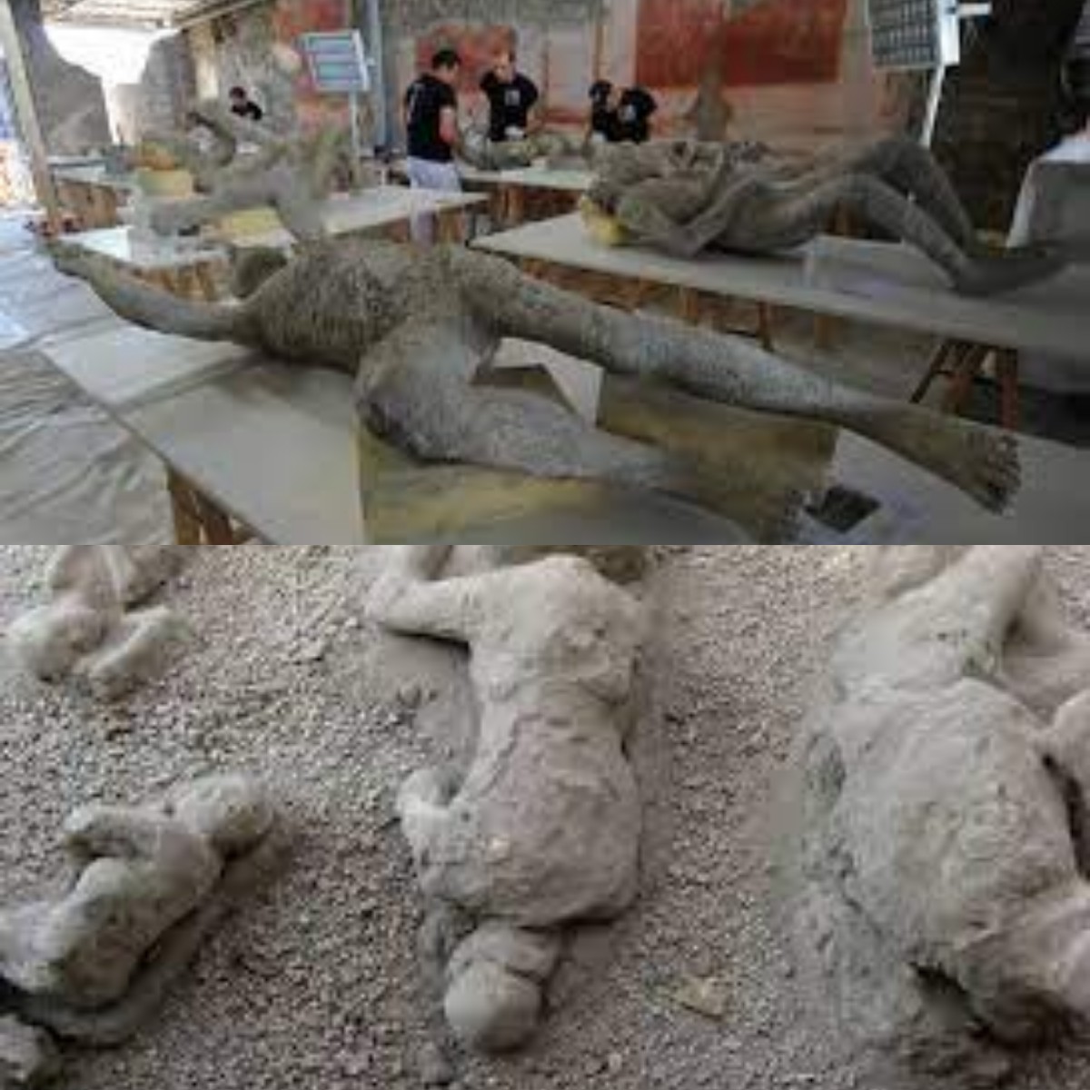 Mengungkap Rahasia Para Korban Pompeii yang Terkubur Selama 2.000 Tahun 