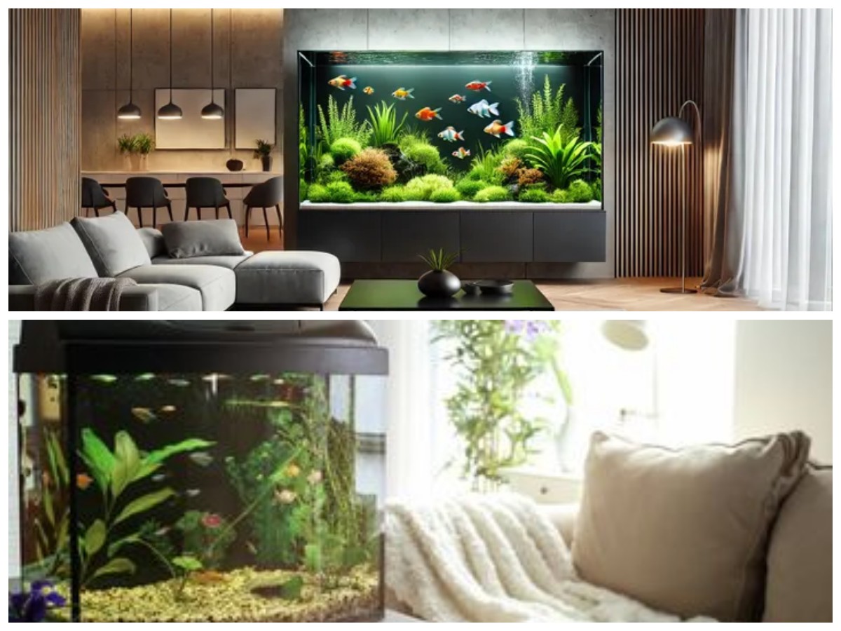 Ide Akuarium Kamar Bergaya Minimalis, Cantik dan Menenangkan untuk Hunian Modern