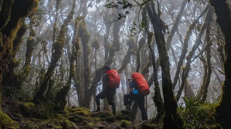 Mengenal Gunung Latimojong, Pesona Alam yang Memukau di Indonesia Timur, Pendaki Wajib Datang Kesini!