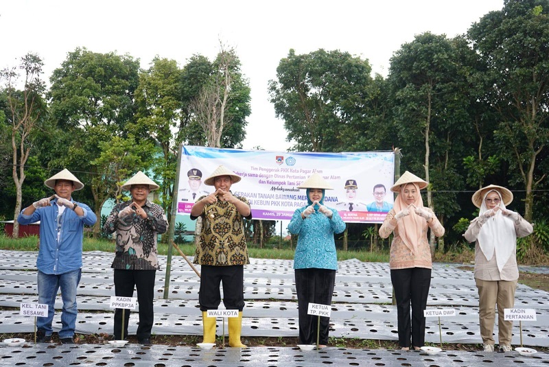 Wako Pagar Alam Dorong Produktivitas Pertanian dan Kendalikan Inflasi