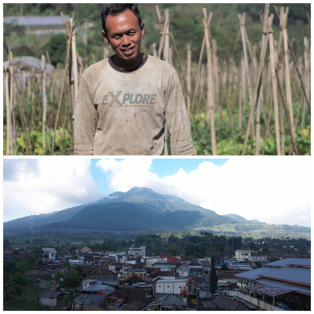 Mengenal Desa BRILian Sumowono, Desa Sayur yang Tumbuh dan Terus Berinovasi Bersama BRI