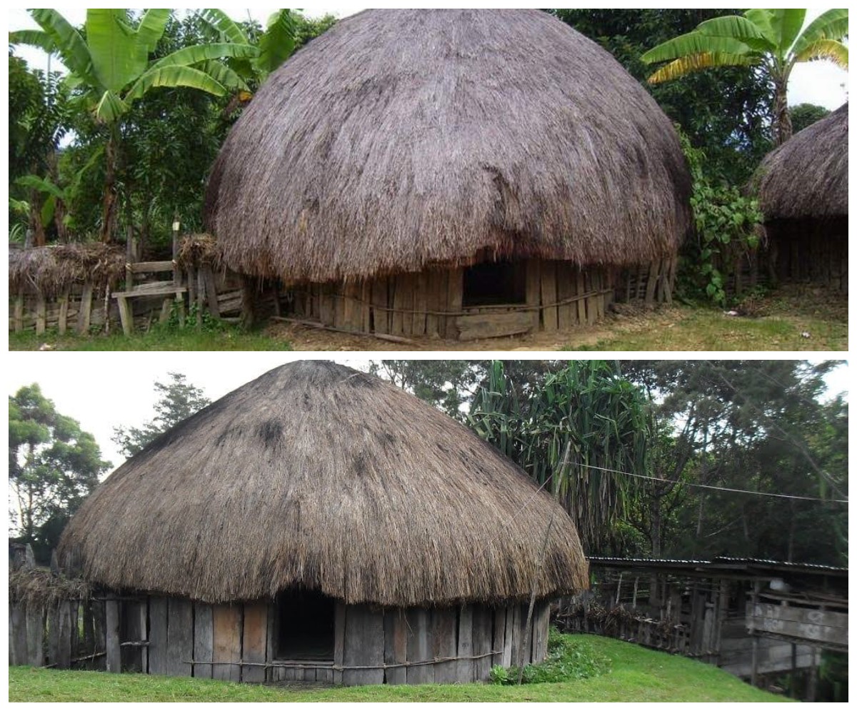 Miliki Ragam Suku dan Budaya! Inilah 3 Rumah Adat Khas Papua 