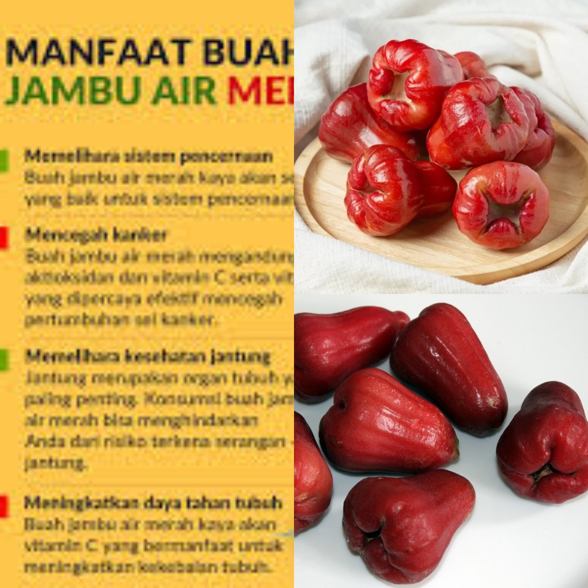 Jambu Air, Buah Sehat dan Segar! Sudahkah Anda Menyantapnya Hari Ini?