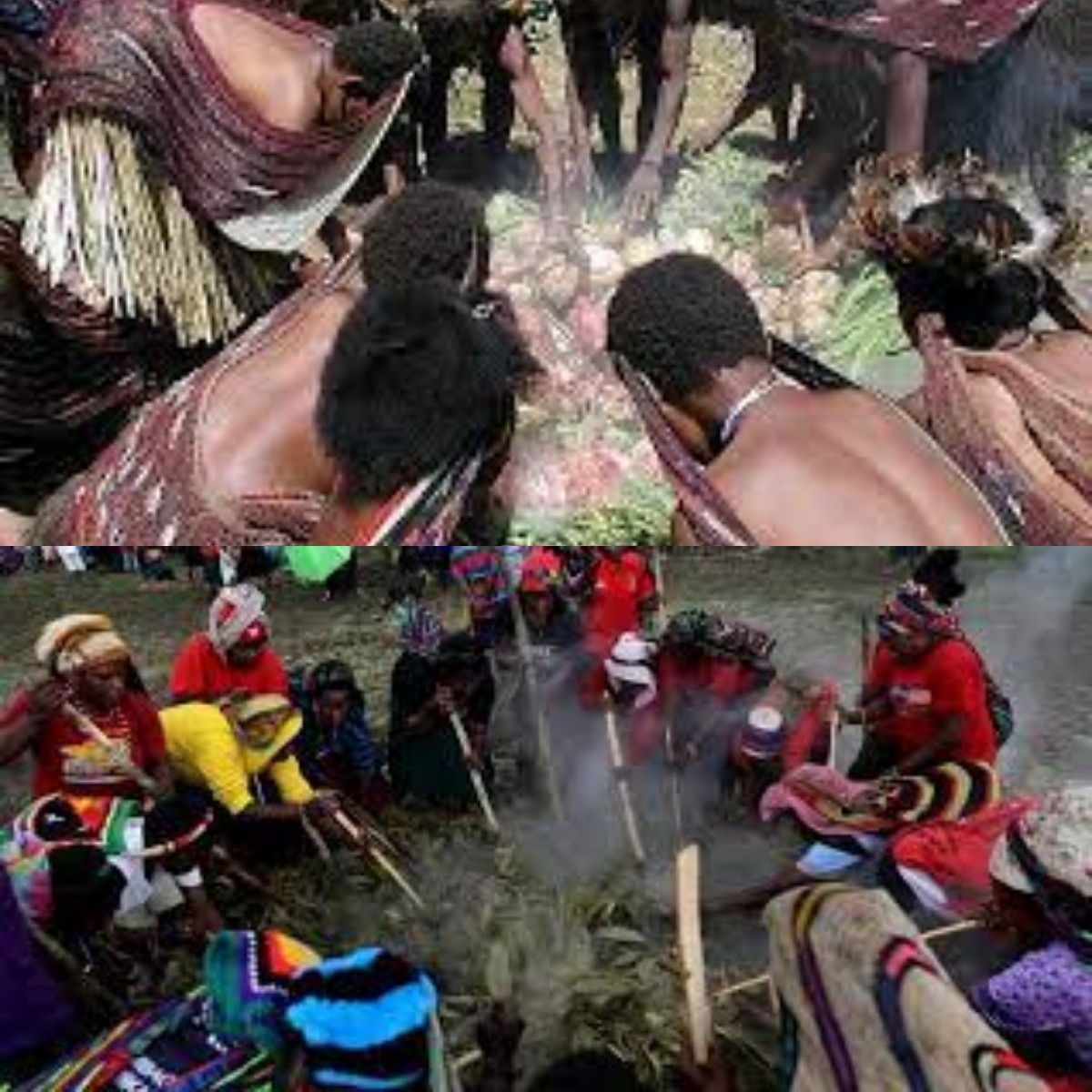 Taukah Kamu? Inilah Tradisi Unik Bakar Batu, Ritual Sebelum Memasak Khas Suku Dani Papua