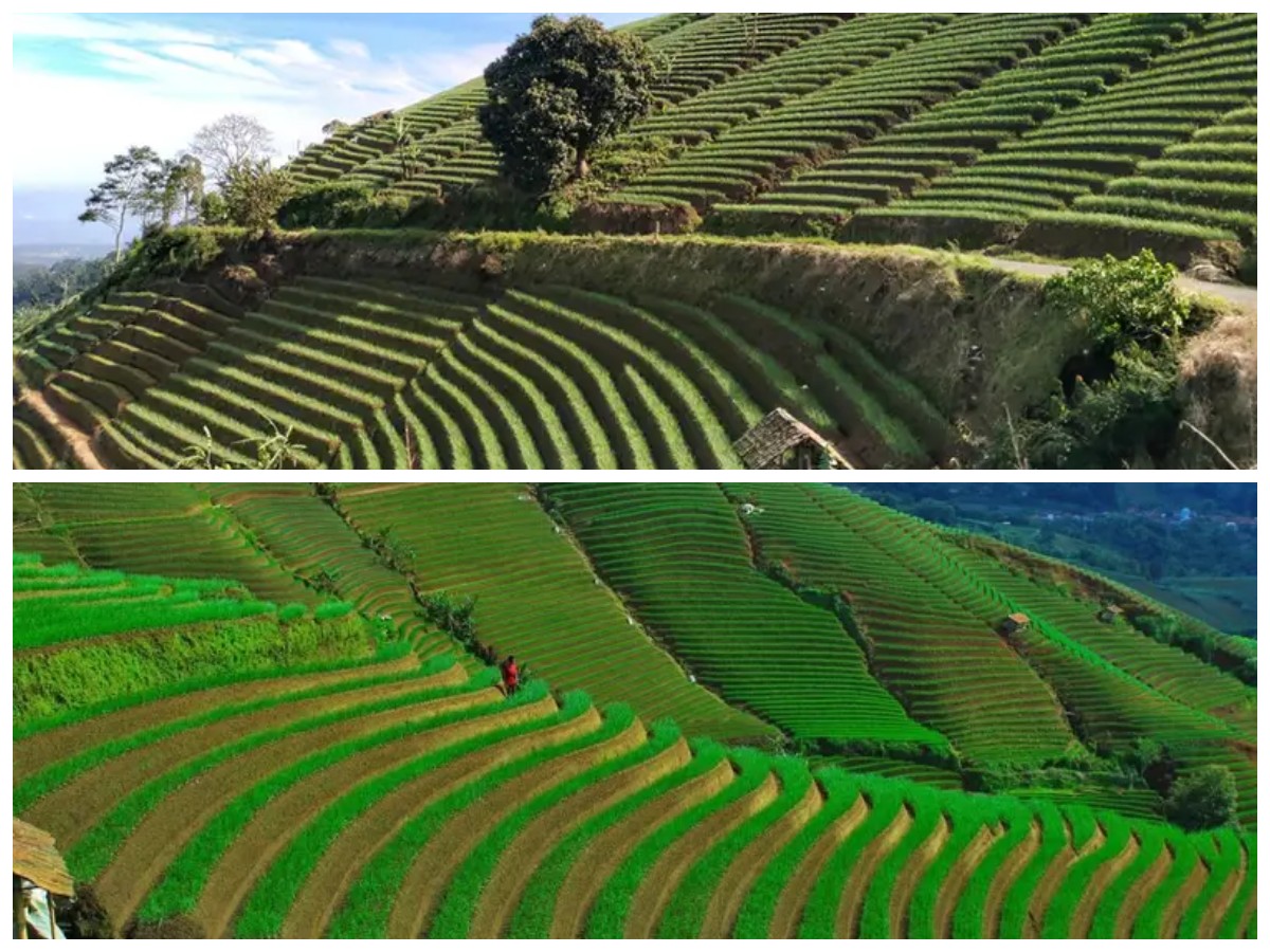 Jelajahi Keindahan Majalengka: Rekomendasi Wisata Hits dan Terpopuler Tahun Ini!