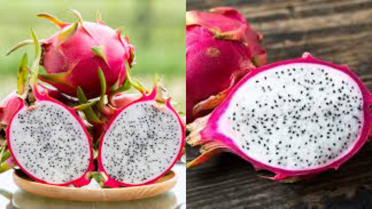 Inilah Manfaat Buah Naga Putih Bagi Kesehatan Tubuh Yang Luar Biasa!