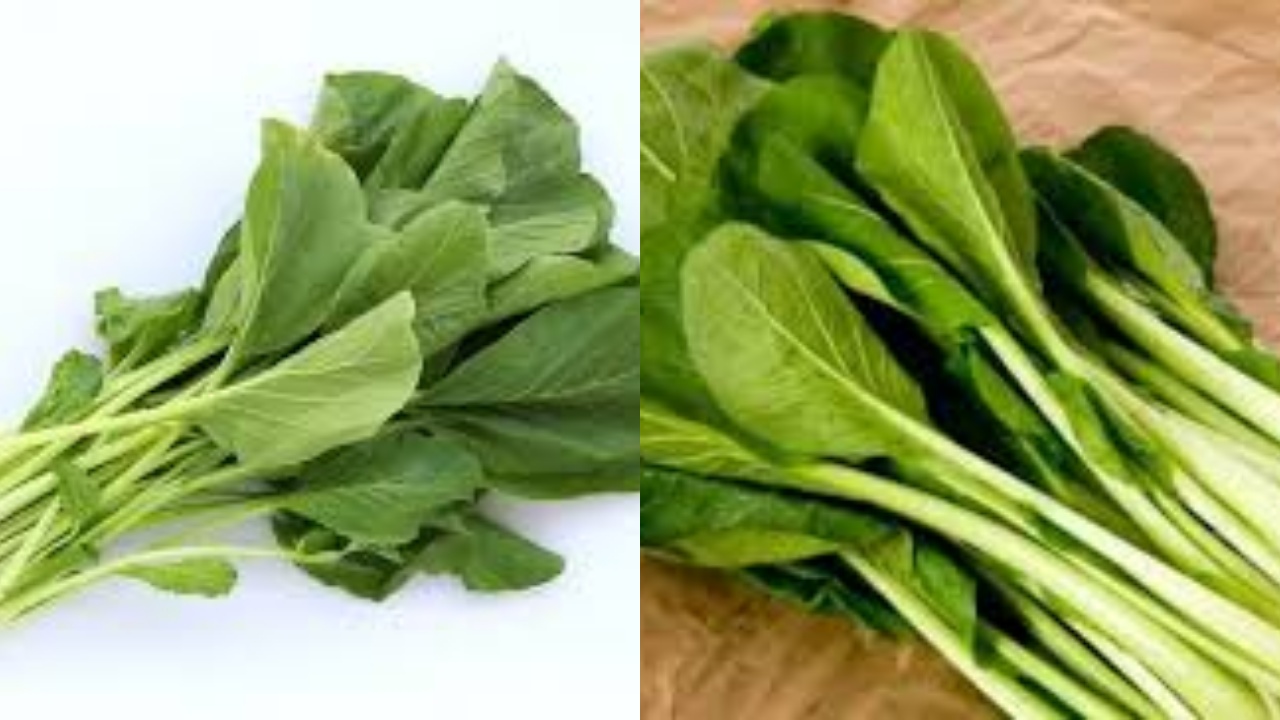 Wajib Tahu Inilah 8 Manfaat Sawi untuk Kesehatan yang Sayang untuk Dilewatkan!