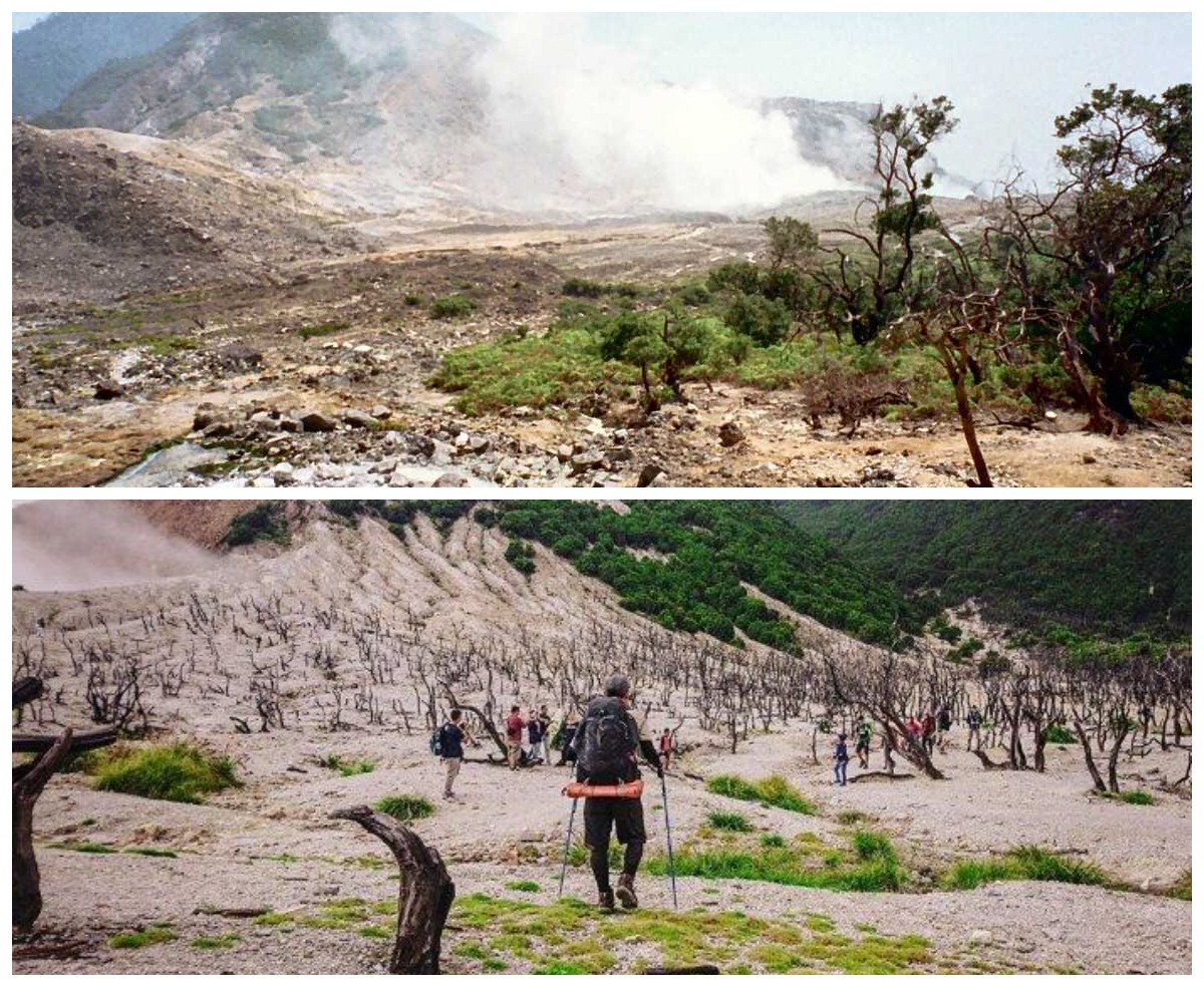 Menyimpan Misteri! Inilah Jejak Sejarah Letusan Gunung Papandayan 