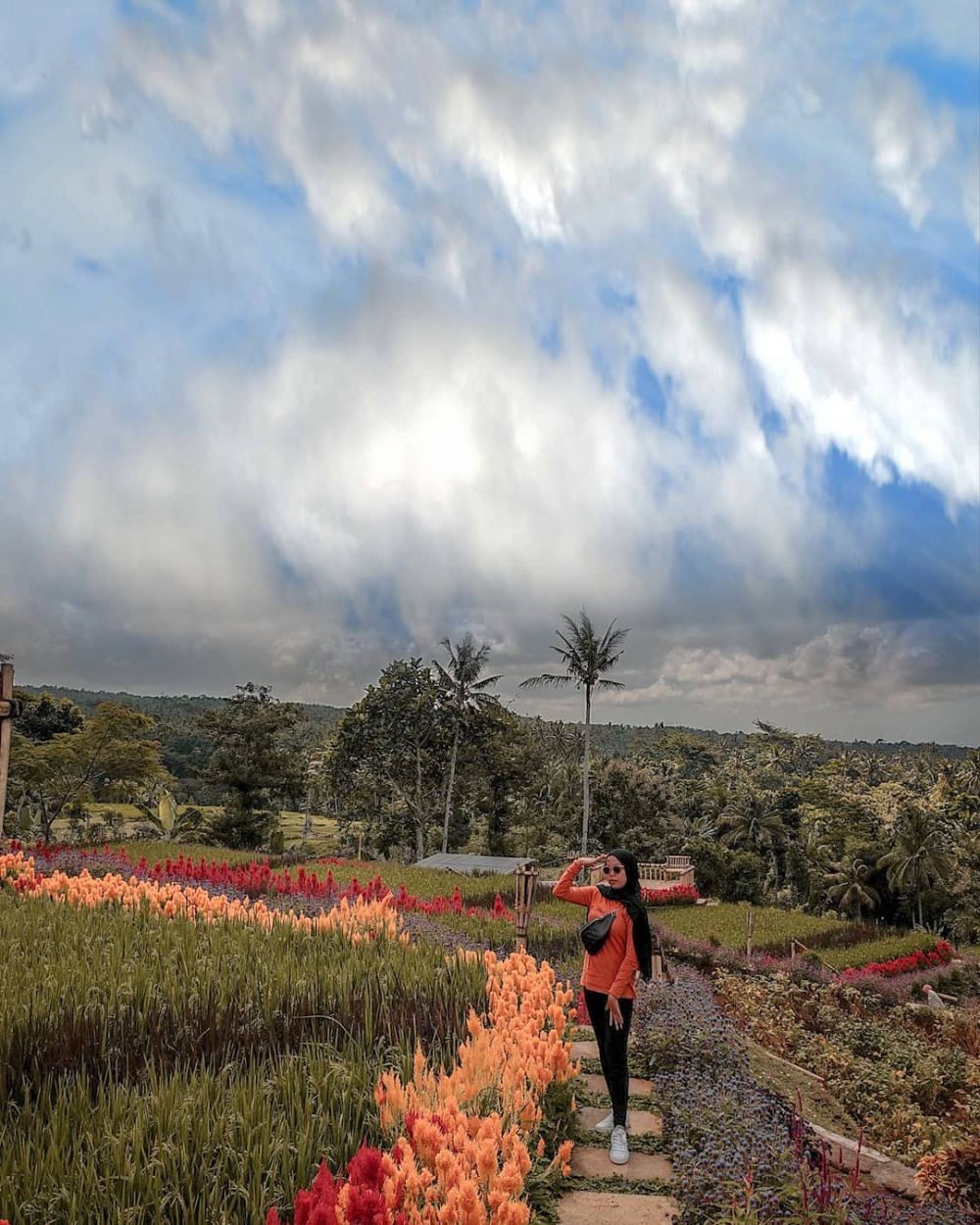  Agrowisata Terbaik di Jawa Timur, Inilah Keajaiban Taman Suruh Banyuwangi yang Tak Terlupakan