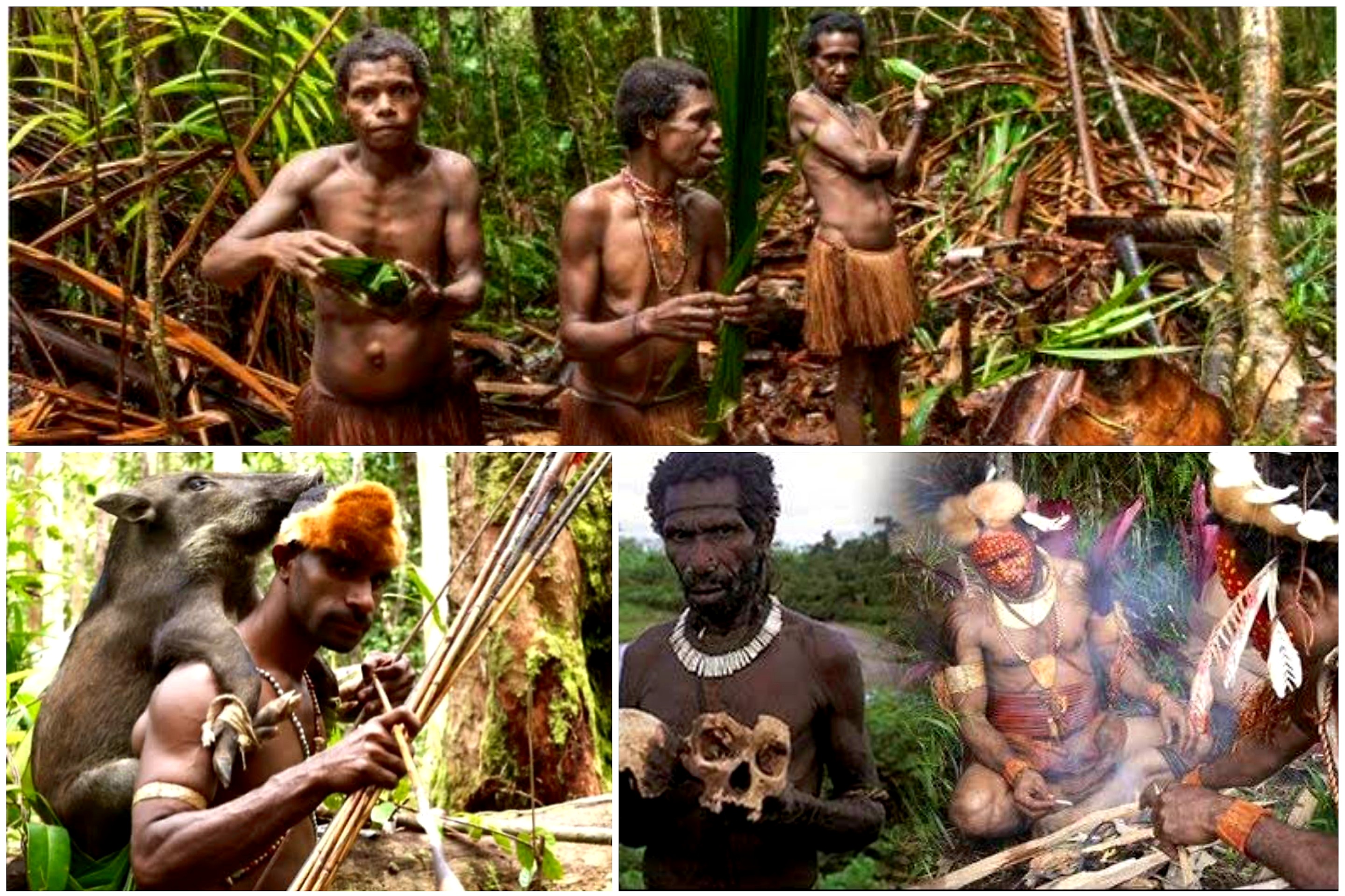 Jadi Bencana. Ini Kontroversi Kebiasaan di Luar Nalar Suku Fore 