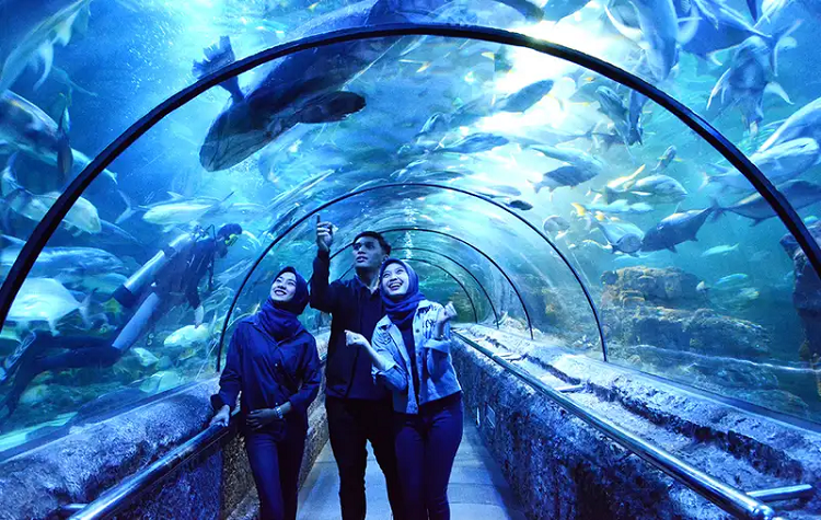 Pesona Akuatik Indonesia, 5 Destinasi Aquarium Terbesar yang  Patut Dikunjungi!