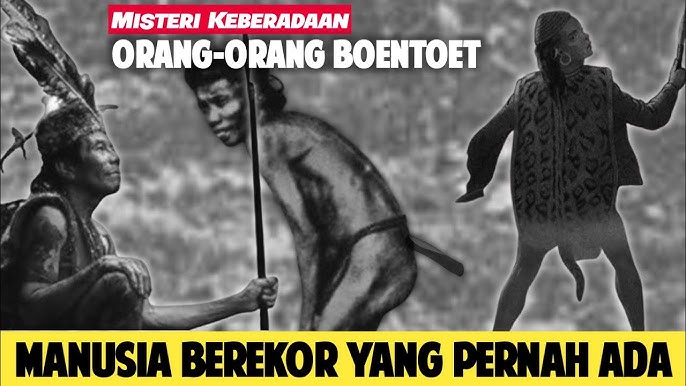 Misteri Suku Manusia Ekor di Kalimantan: Fakta atau Fiksi?