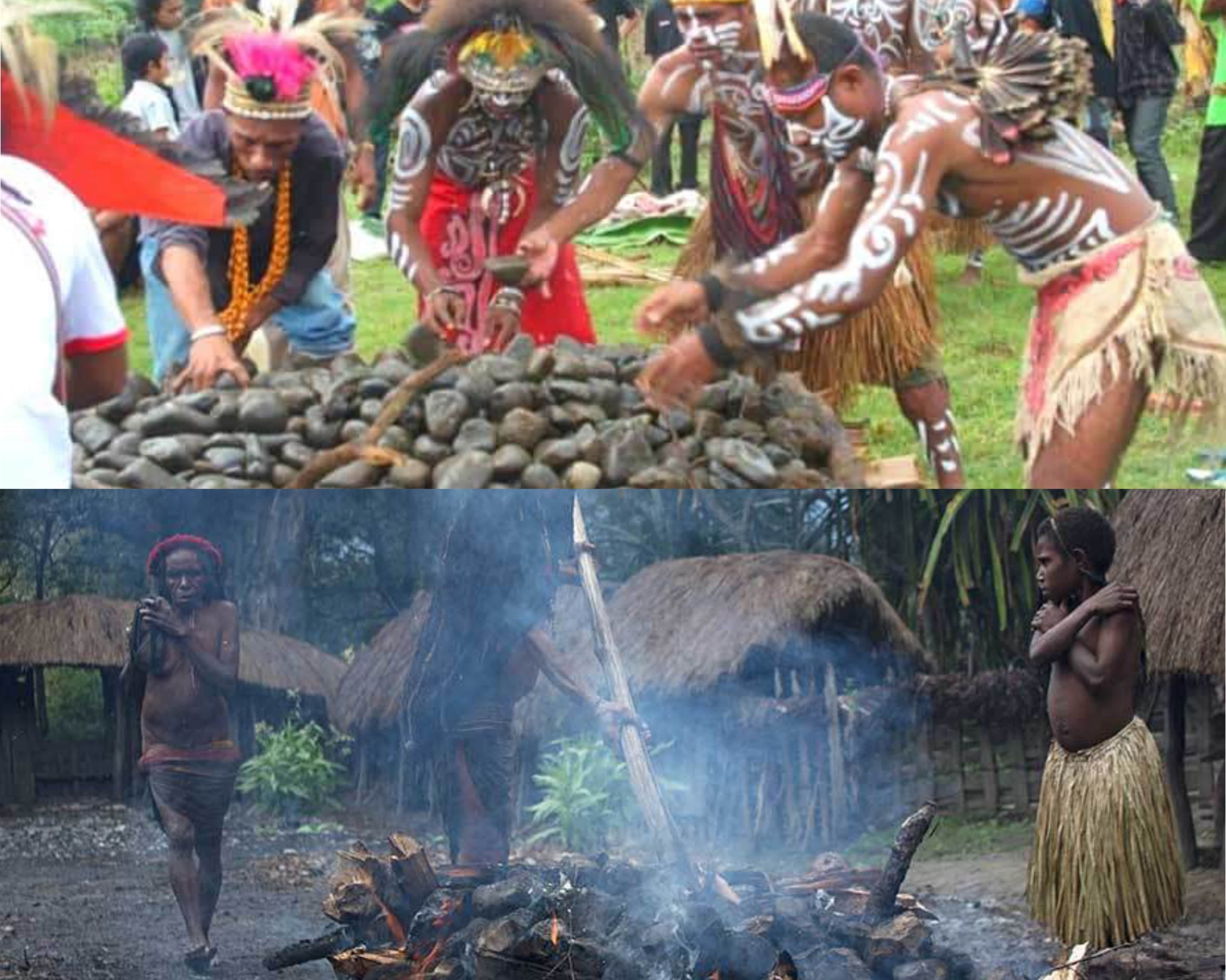 Uniknya Tradisi Bakar Batu Dari Suku Dani Papua, Begini Sejarah Dan Proses Lengkapnya! 