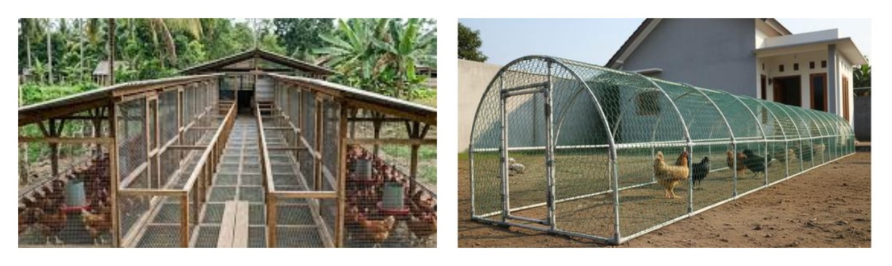 Rahasia Ternak Lebih Untung,  9 Desain Kandang Ayam Lorong Kawat Simpel tapi Fungsional