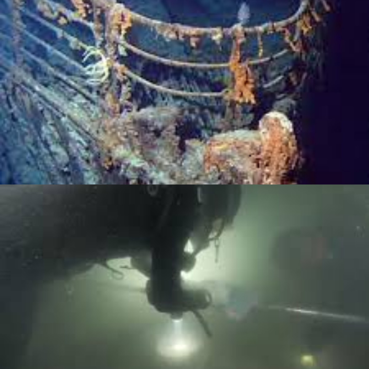 Menakjubkan! Arkeolog Berhasil Temukan Bangkai Kapal Berusia 700 Tahun di Lautan China
