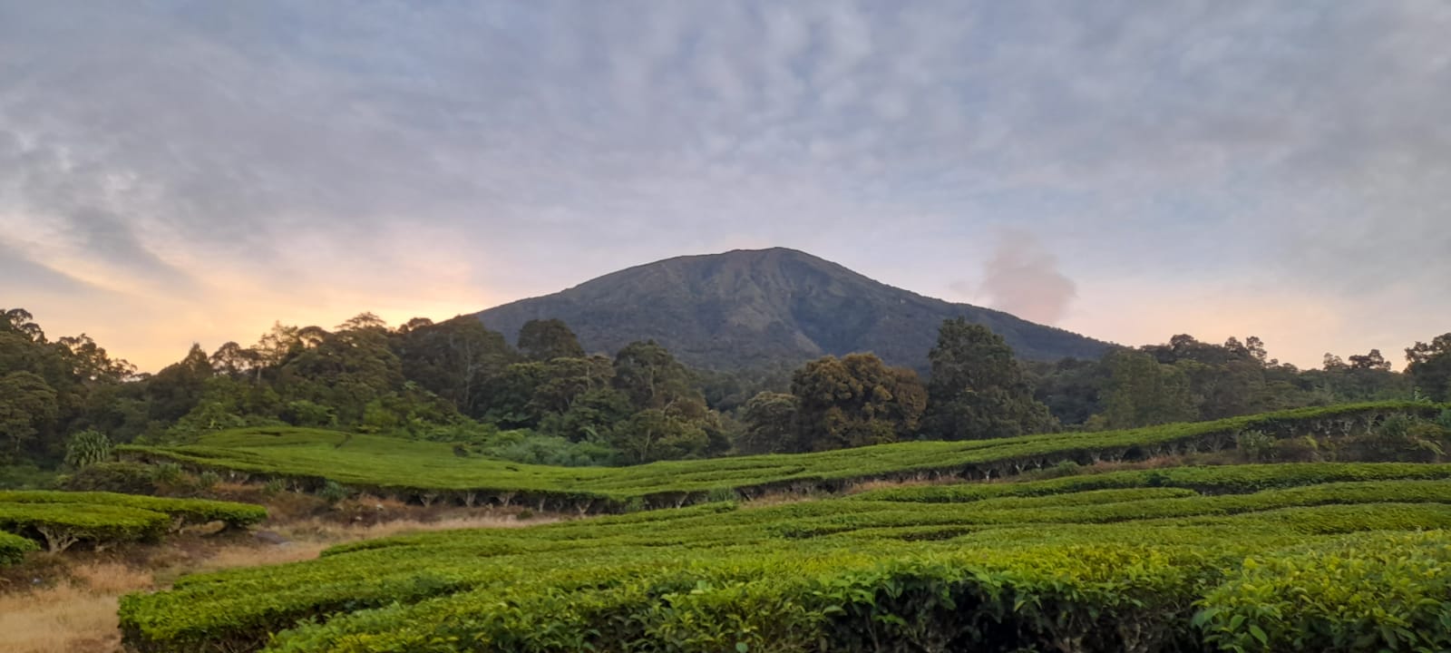 Keajaiban Sejarah Pagar Alam, Eksplorasi Kota di Kaki Gunung Dempo yang Menyimpan Cerita Mengagumkan