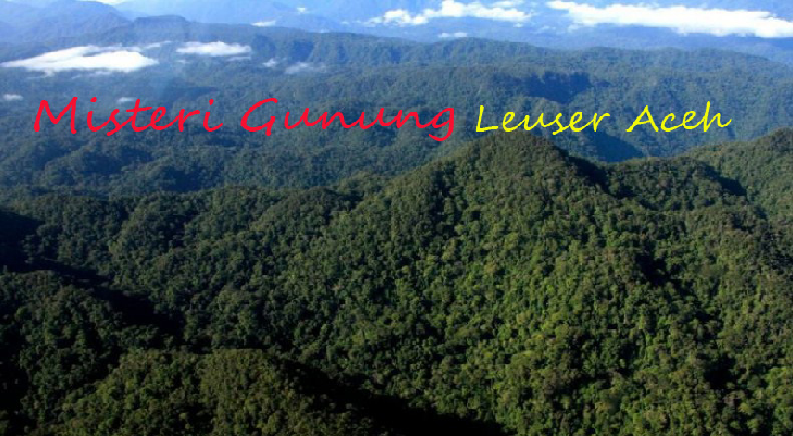 Pendaki Wajib Tahu! Apa Saja Fakta dan Larangan di Gunung Leuser?