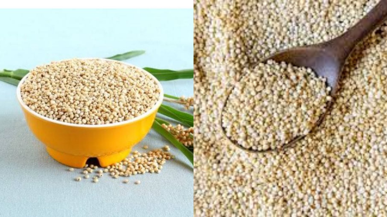 Simak! 8 Manfaat Tepung Sorgum Yang Belum Banyak Diketahui