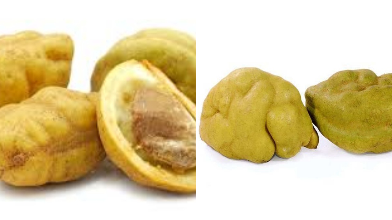 Inilah Khasiat Tersembunyi Dari Buah Namnam Untuk Kesehatan Tubuh!