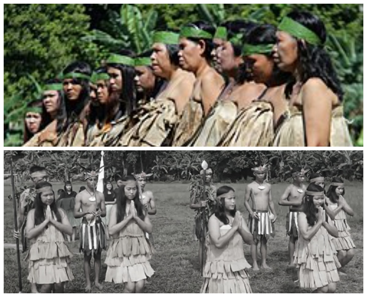 Mengenal Ragam Budaya Hingga Sejarah Suku Enggano 