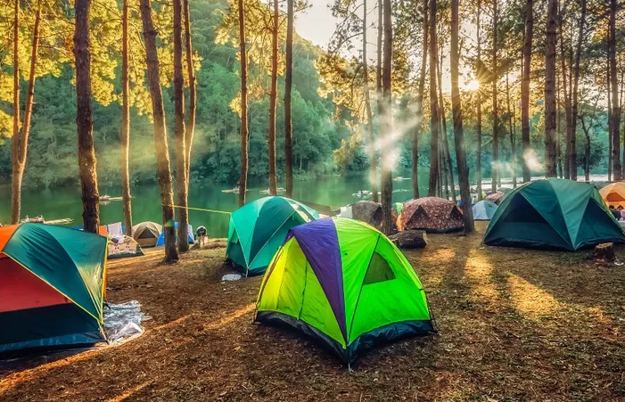 Bikin Gak Mau Pulang! Inilah 5 Tempat Camping di Bogor dengan Kesejukannya
