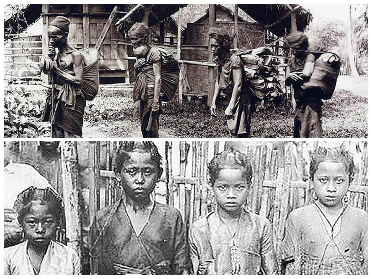 Suku Wajak dan Warisan Prasejarahnya: Pelopor Manusia Modern di Tanah Nusantara