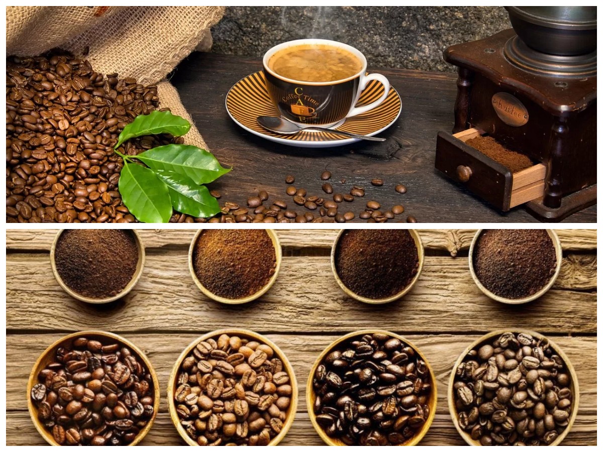 Menyelami Aroma dan Rasa Kopi Nusantara, Warisan Kaya yang Mendunia