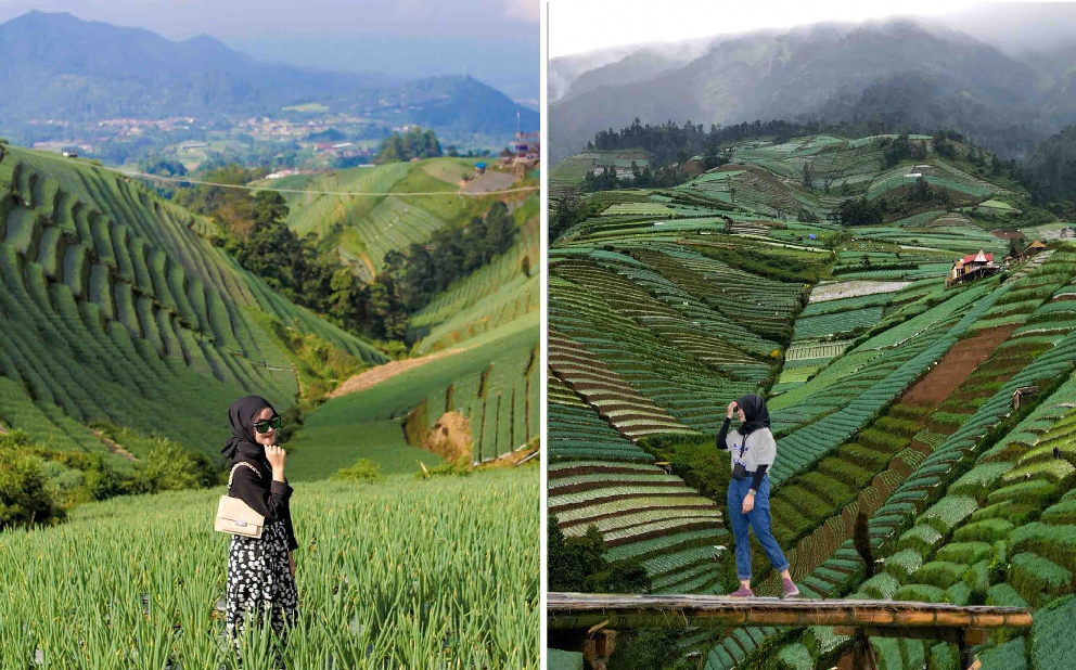 Magelang's Hidden Gem, Wisata Terasering Sitegong di Desa Sukomakmur Jadi Lokasi Hits dan Instagramable