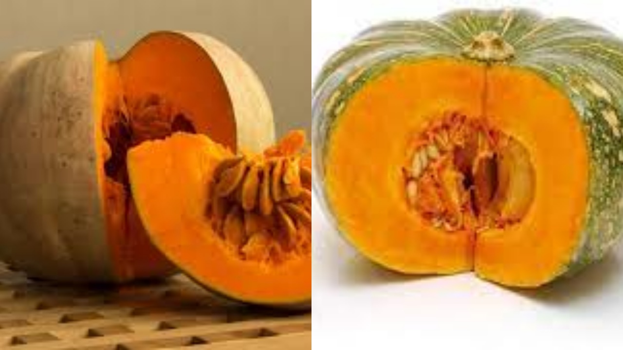 Simak! Inilah 10 Manfaat Labu Kuning Untuk Kesehatan Yang Jarang Diketahui