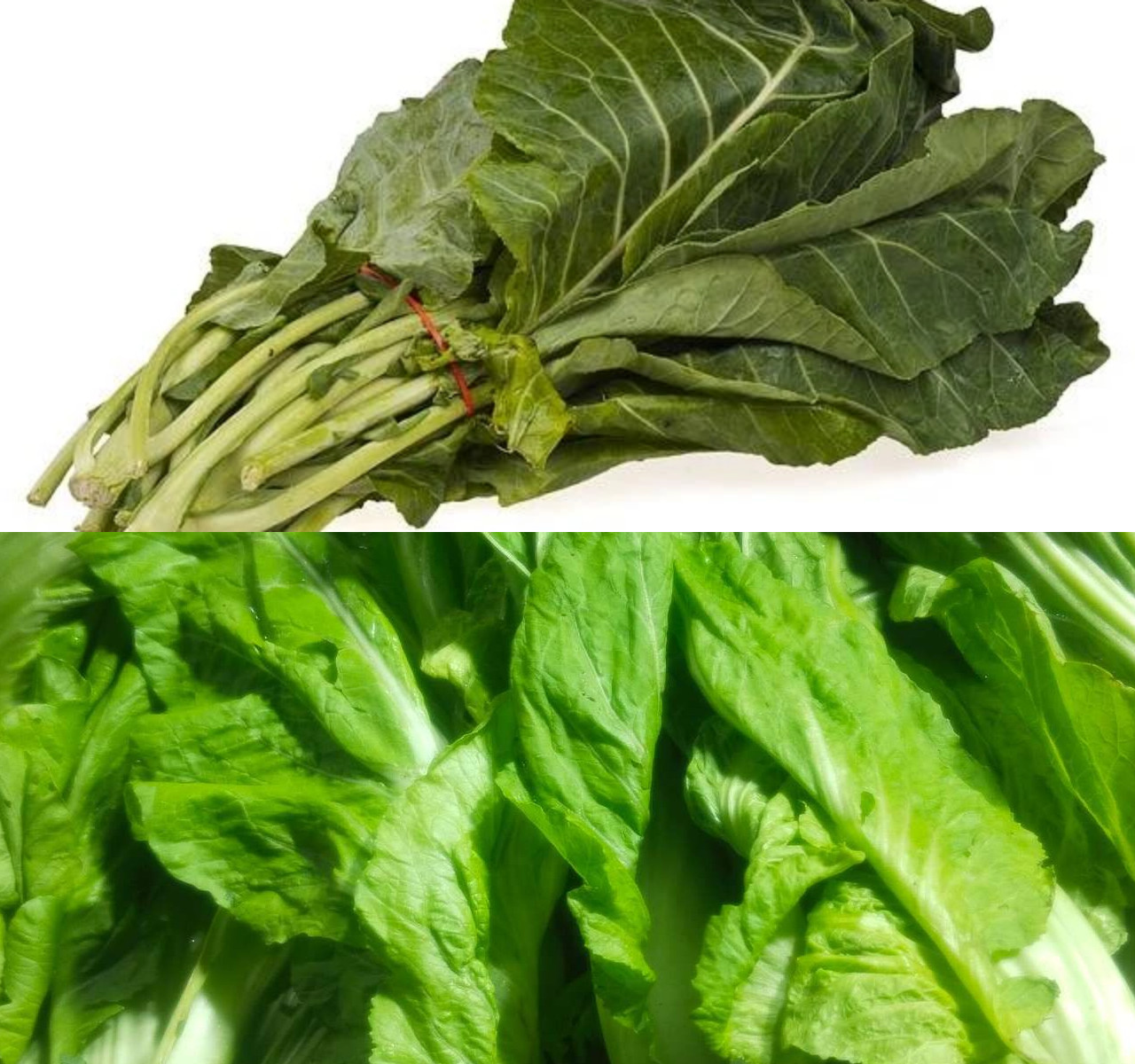 Yuk Intip Manfaat Sawi Pahit bagi Kesehatan Manusia!