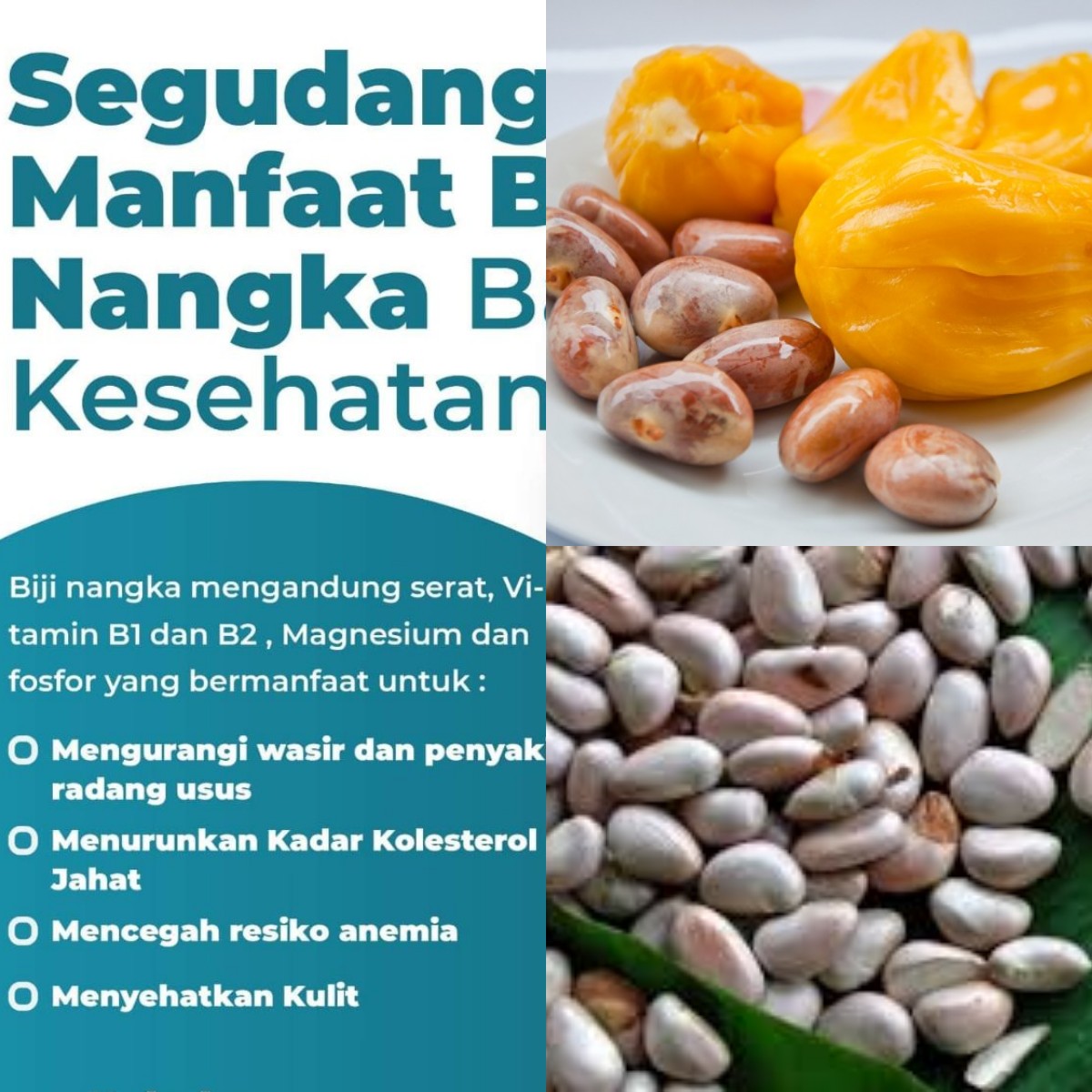 Jangan Remehkan! Apa Saja Manfaat Biji Nangka yang Luar Biasa Untuk Kesehatan?