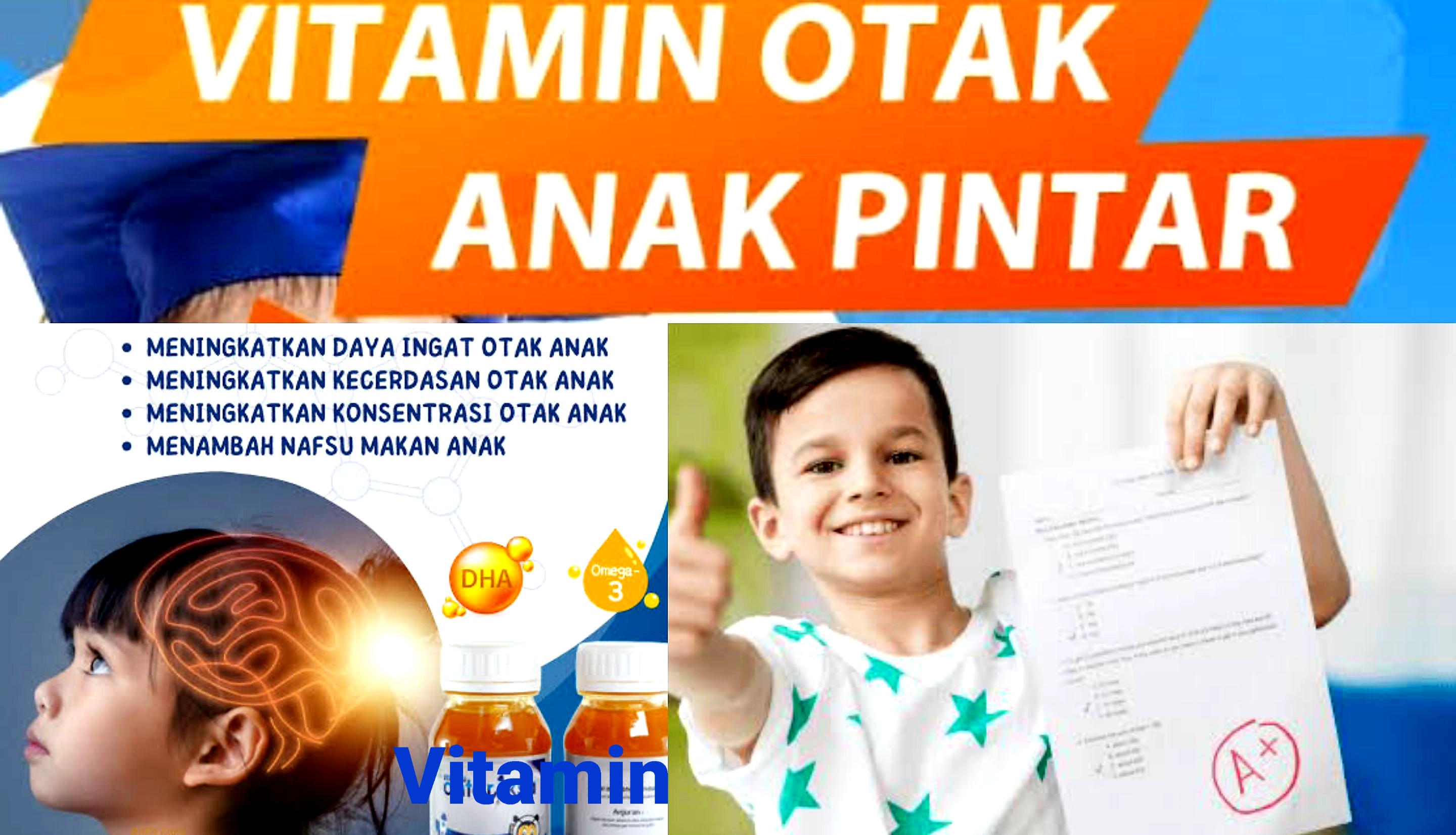 Ingin Anak Pintar? Penuhi Kebutuhan Vitamin Otak. Ini Nutrisi tang Dibutuhkan Otak Anak Agar Cerdas.