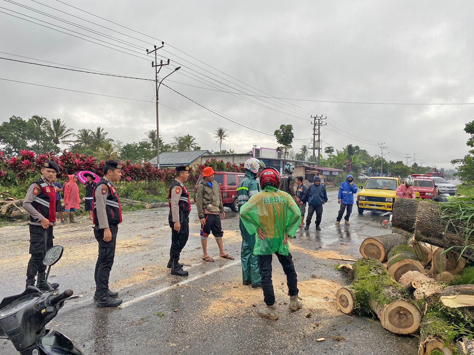 Hujan Lebat, Akibatkan Pohon Tumbang