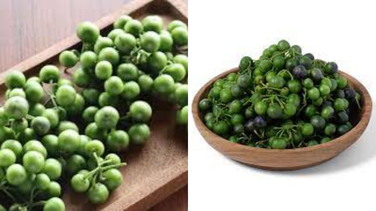 Rahasia Tradisional yang Terbukti Ilmiah: Manfaat Leunca Untuk Kesehatan