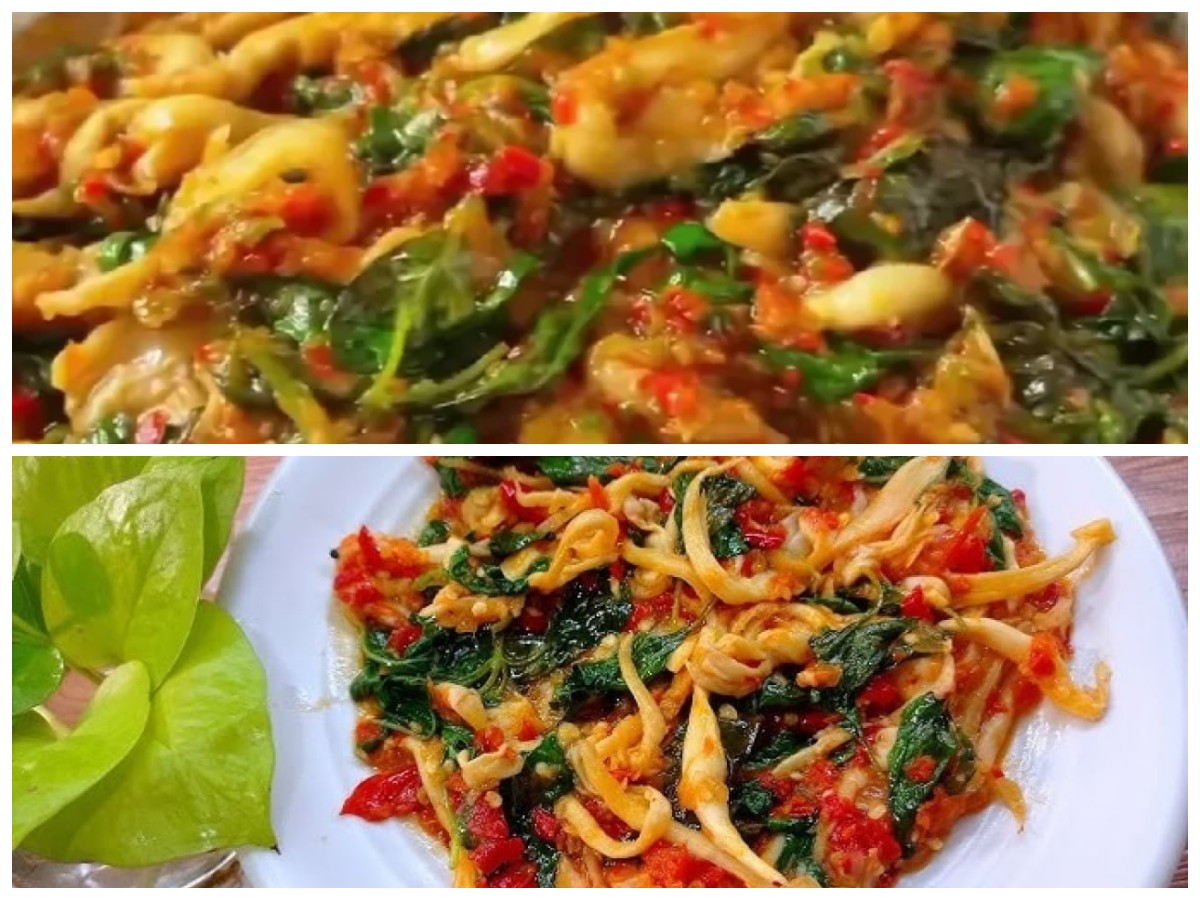 Resep Tumis Jamur Kemangi Pedas, Hidangan Simpel yang Bikin Ketagihan